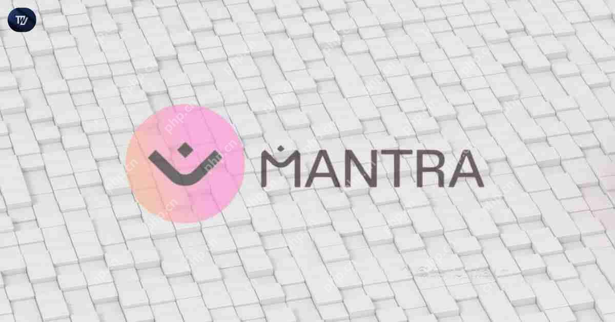 咒语（OM）令牌价格下跌90％后的篮板篮板